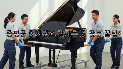 증평군 이사청소 ✨잘하는 곳✨ 찾는 꿀팁! 🏡💖