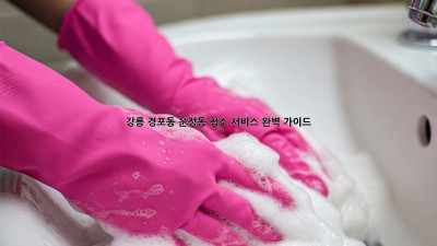 강릉 경포동, 운정동 청소 서비스 완벽 가이드