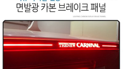 더뉴카니발 DSP앰프 꿀팁 대방출! 내돈내산 후기